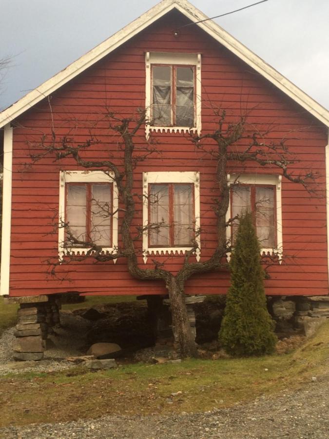 Line Pa Hauane1 Bed and Breakfast Volda Buitenkant foto