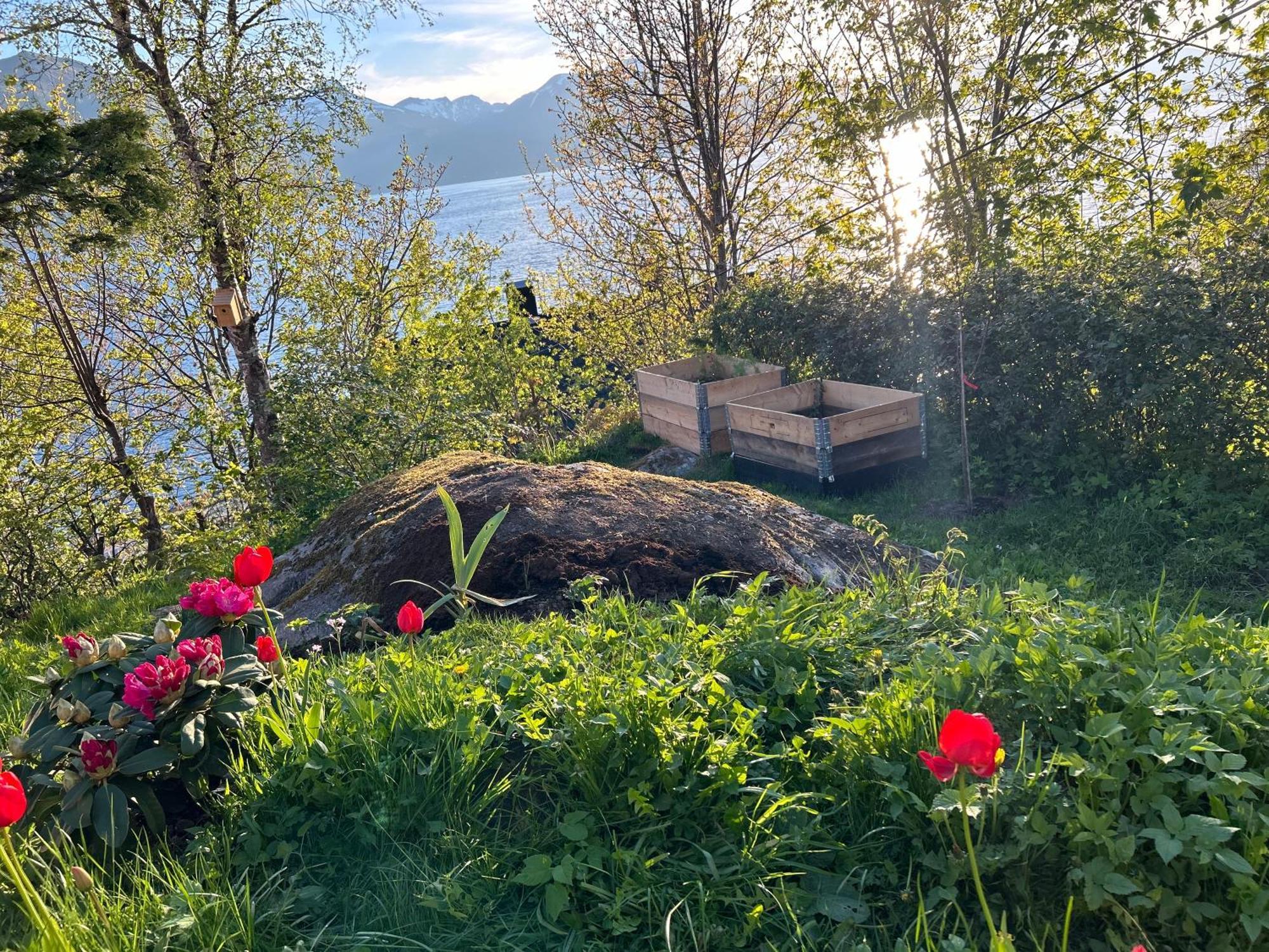 Line Pa Hauane1 Bed and Breakfast Volda Buitenkant foto
